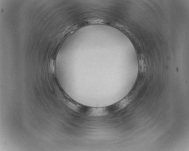 X0000075840093200610151556