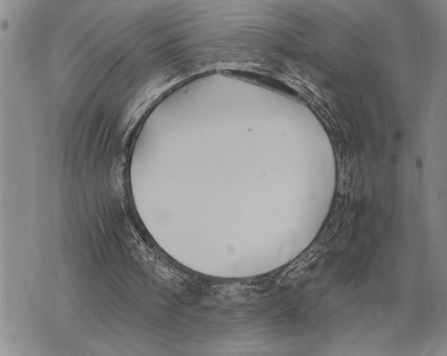 X0000075840098200610151555