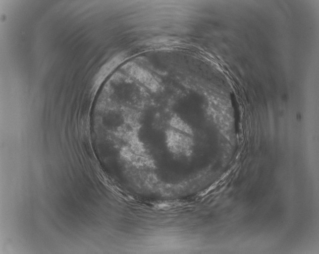 X0000075840099200610151555