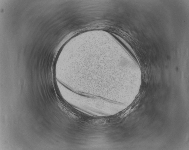 X0000075840100200610151555