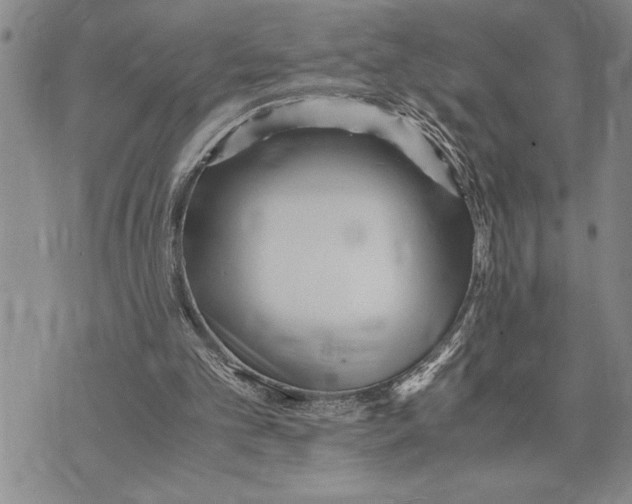 X0000075840101200610151555