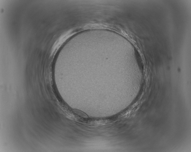 X0000075840103200610151555