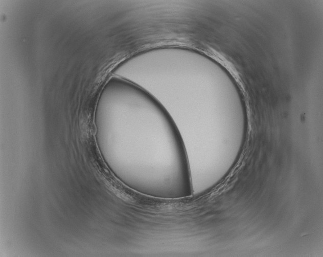 X0000075840105200610151555