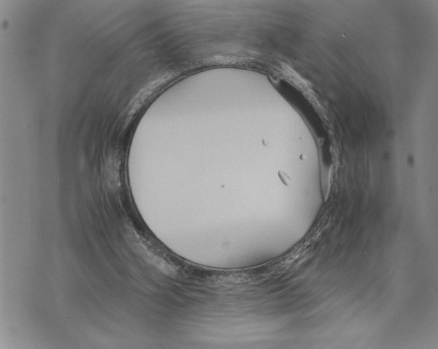 X0000075840106200610151555