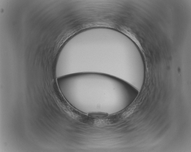 X0000075840109200610151555