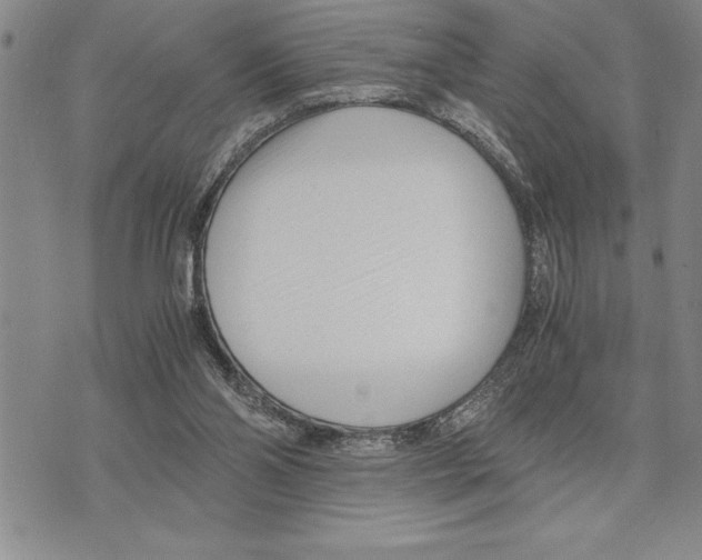 X0000075840110200610151555