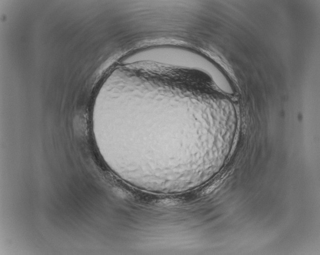 X0000075840111200610151555