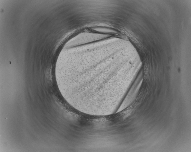 X0000075840112200610151555