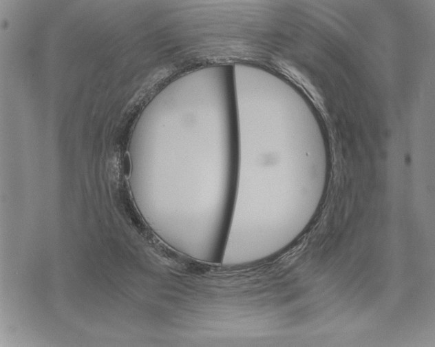 X0000075840113200610151555