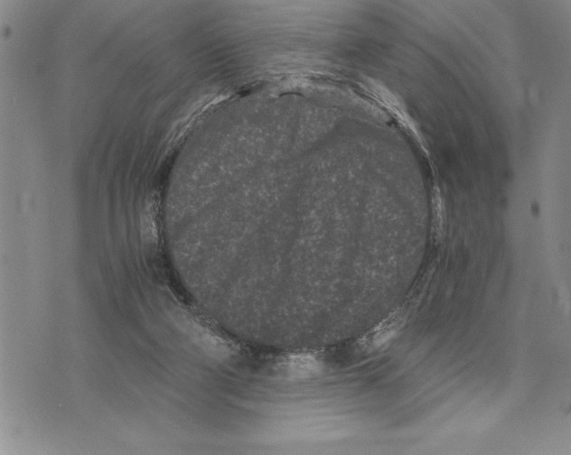 X0000075840114200610151555