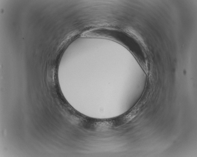 X0000075840115200610151555