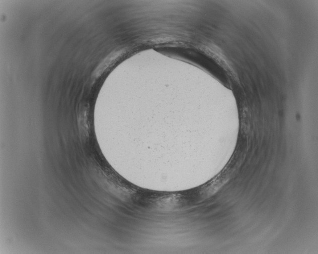 X0000075840116200610151555