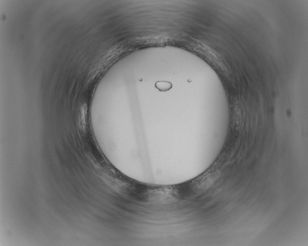 X0000075840118200610151555