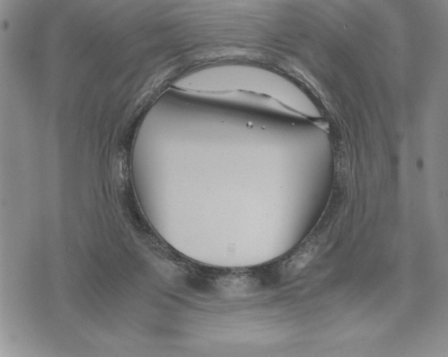 X0000075840119200610151555