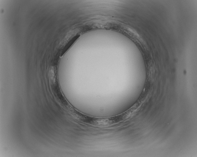 X0000075840121200610151555