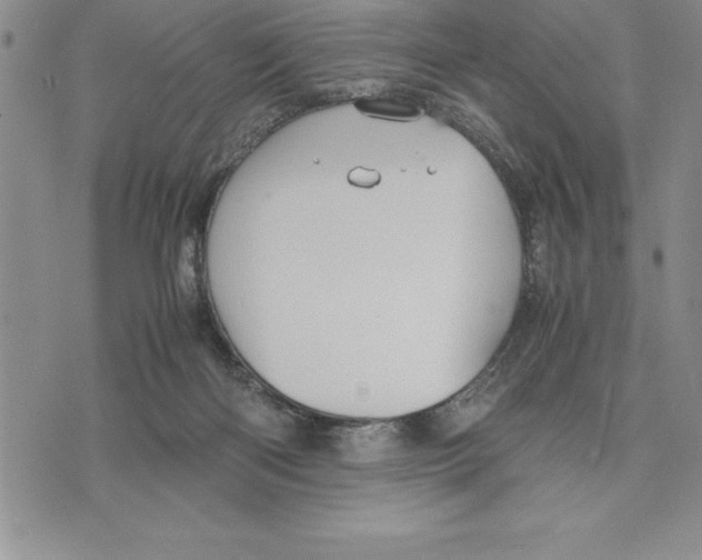 X0000075840122200610151555