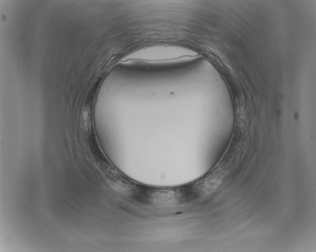 X0000075840123200610151555