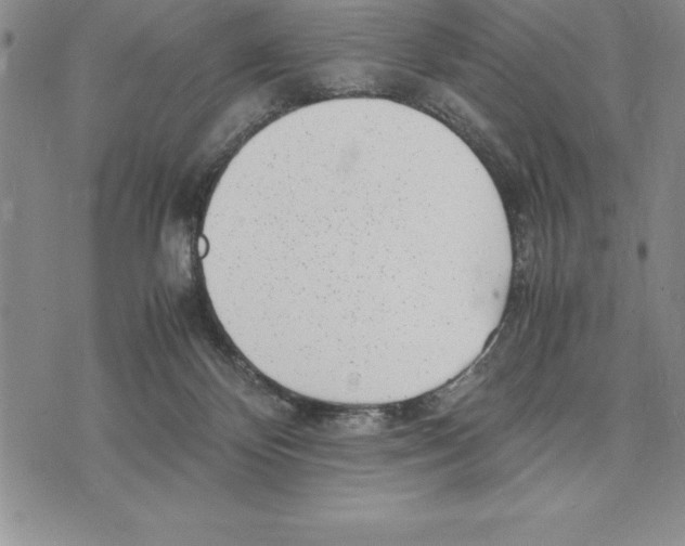 X0000075840124200610151555