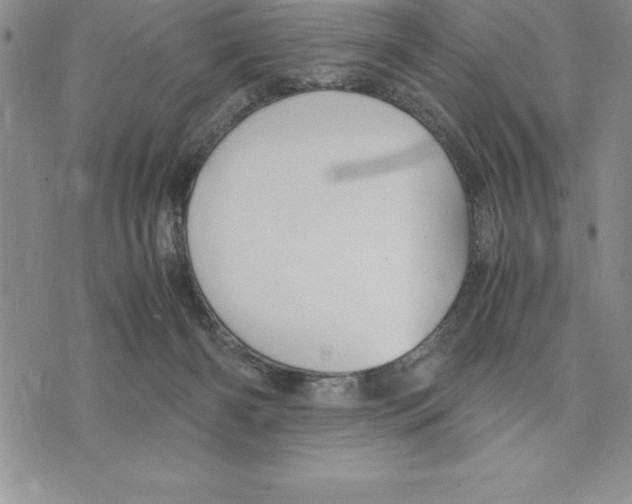 X0000075840126200610151554