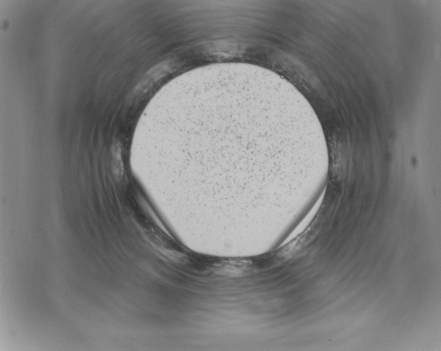 X0000075840128200610151554