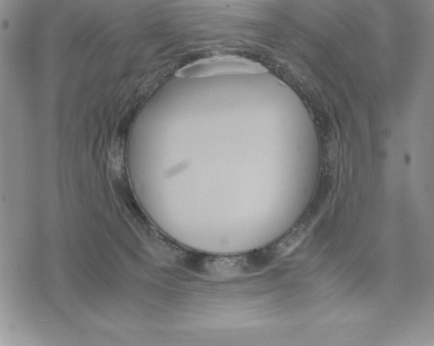 X0000075840129200610151554