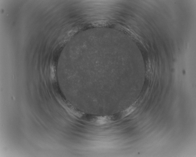 X0000075840130200610151554