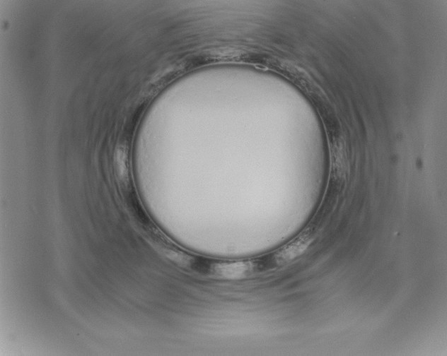 X0000075840131200610151554