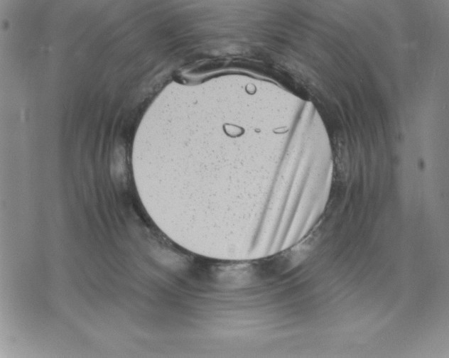 X0000075840132200610151554