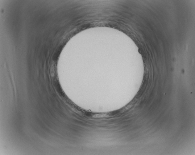 X0000075840133200610151554