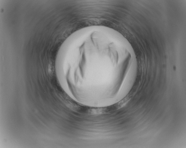 X0000075840134200610151554