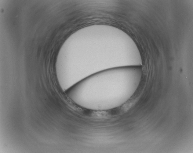 X0000075840137200610151554