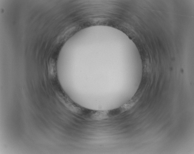 X0000075840138200610151554