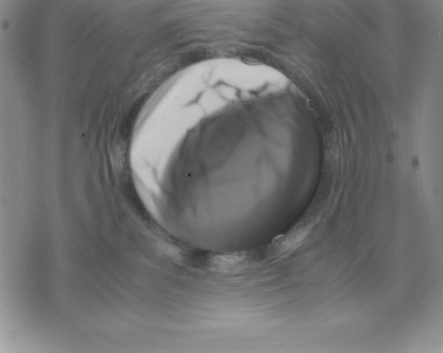 X0000075840139200610151554