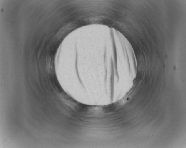 X0000075840140200610151554