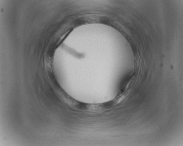 X0000075840141200610151554