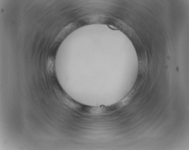 X0000075840142200610151554