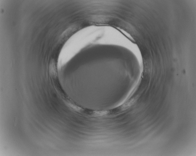 X0000075840143200610151554