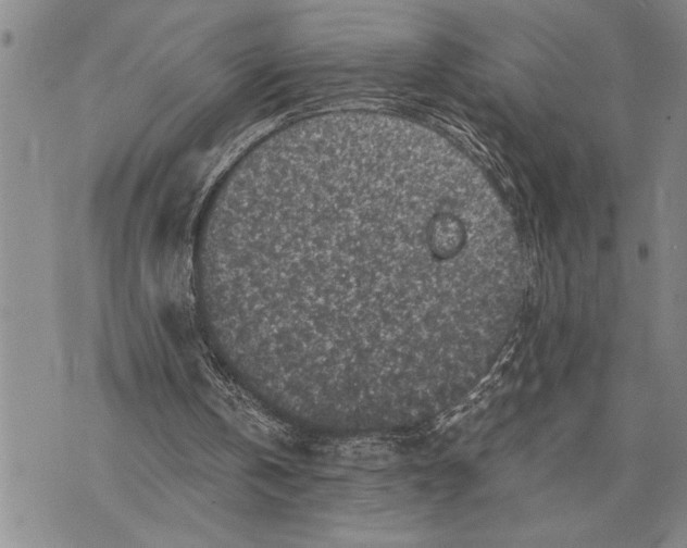 X0000075840146200610151553