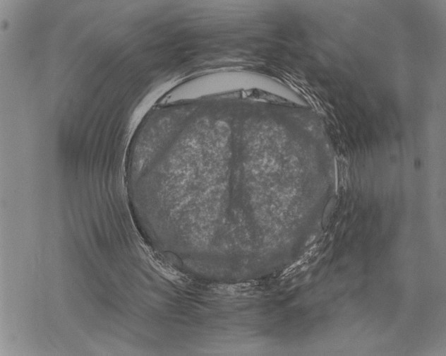 X0000075840147200610151553