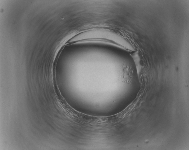 X0000075840148200610151553