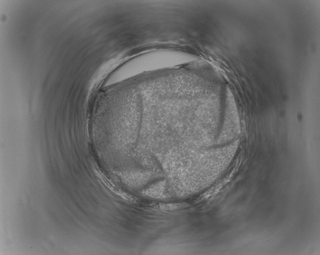 X0000075840149200610151553