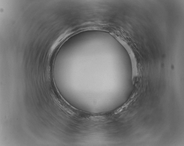 X0000075840150200610151553