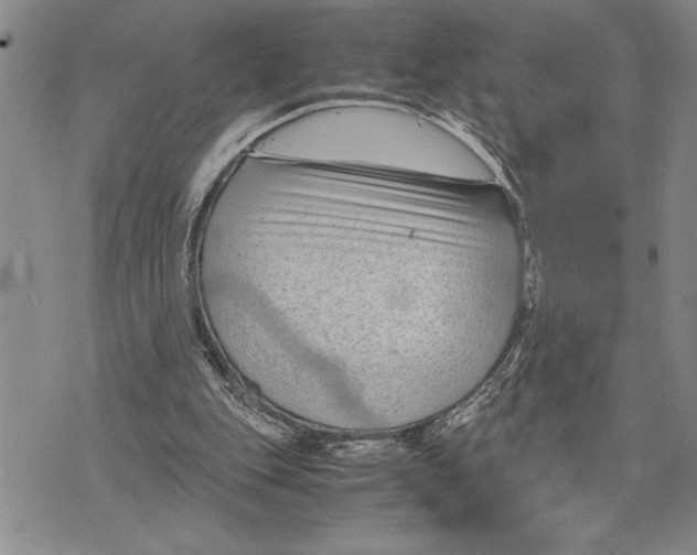 X0000075840151200610151553