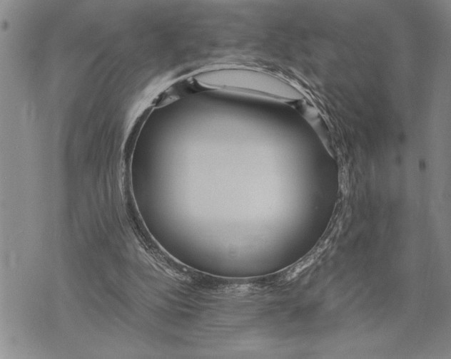 X0000075840152200610151553