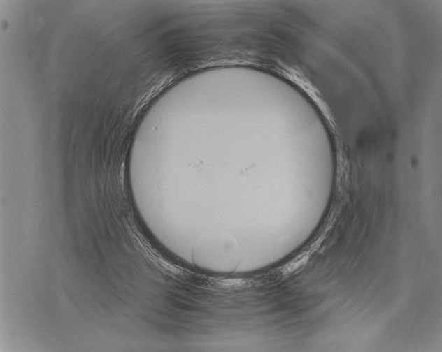 X0000075840153200610151554