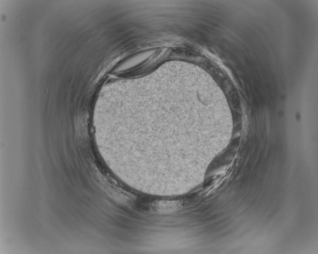 X0000075840154200610151554