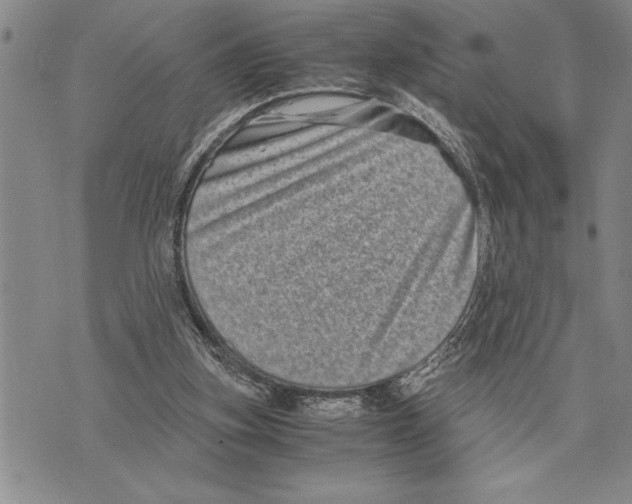 X0000075840155200610151554