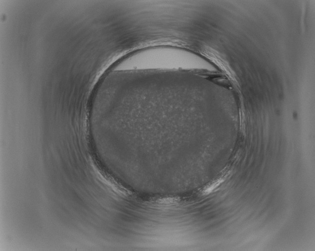 X0000075840156200610151554