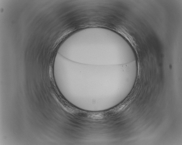 X0000075840157200610151554