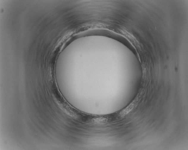 X0000075840158200610151554